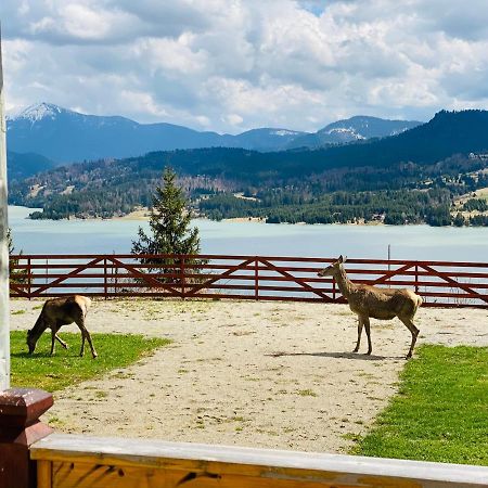 Pensiunea Farmecul Naturii Si Casute Individuale De Inchiriat Colibiţa Exterior foto