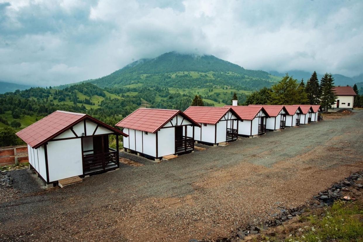 Pensiunea Farmecul Naturii Si Casute Individuale De Inchiriat Colibiţa Exterior foto